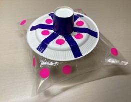 理科実験ミュージアム【高校生企画】 〜 作って遊ぼう！ 紙皿カーリング 〜